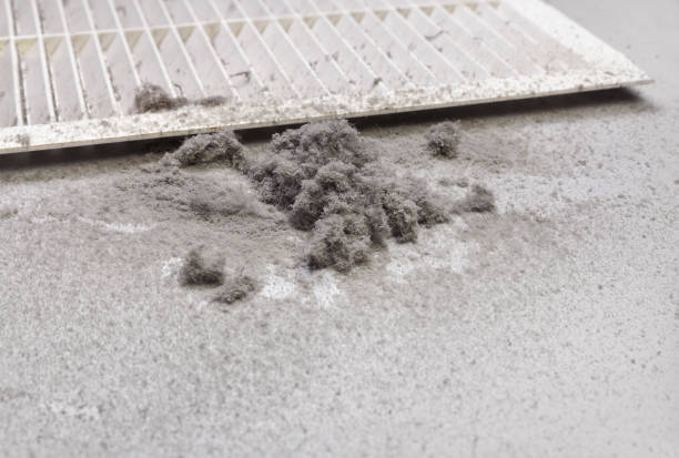 Best Air Duct Cleaning Company Near Me  in Clintondale, NY