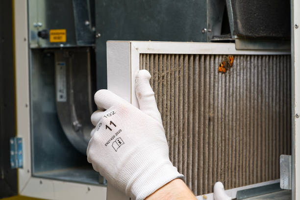 Best Local Air Duct Cleaning Services  in Clintondale, NY