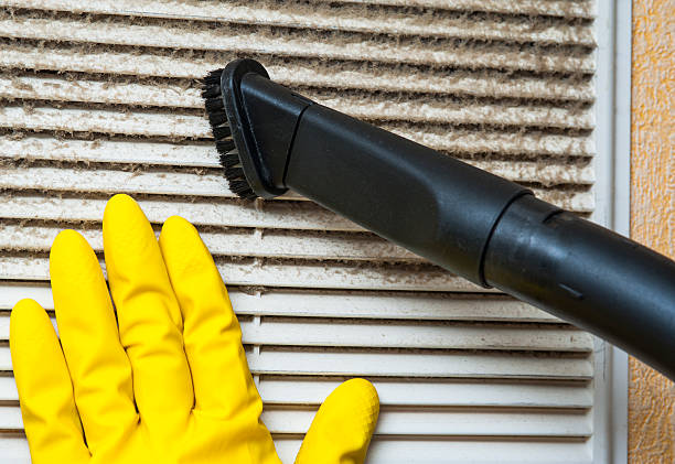 Best HVAC System Cleaning  in Clintondale, NY